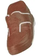 tennis shoe