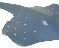 Stingray Stress Reliever
