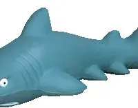 Stress Shark Advertising Material