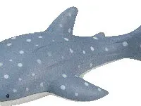 Antistress Shark