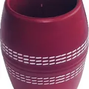 cricket can holder