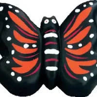 Beautiful Butterfly