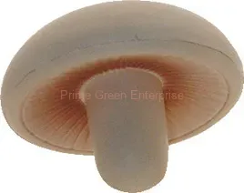 mushroom stress reliever