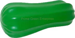 SPONGE GOURD