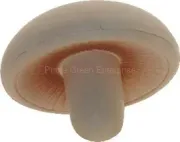 mushroom stress reliever
