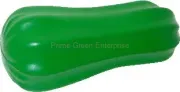 SPONGE GOURD