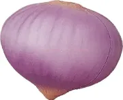 pu stress onion