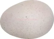 anti stress dinosaur egg