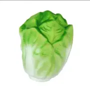 chiness cabbage