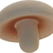 mushroom stress reliever