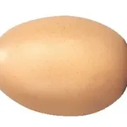 anti-stress egg stress reliefer
