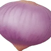 pu stress onion