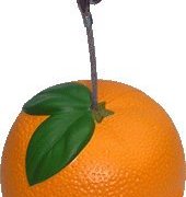 orange shaped memo holder
