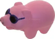 stress pig with sunglasses