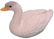 white swan