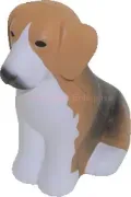 beagle dog