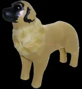 stress dog