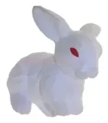 Cute Rabbit