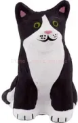 stress cute cat