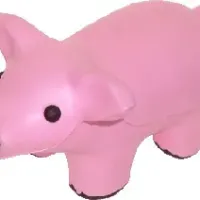 pig with vertical ear