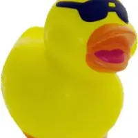 cool stress duck