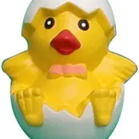 chick sitting in the egg