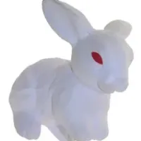 Cute Rabbit