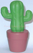 CACTUS IN A POT