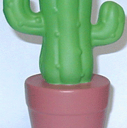 CACTUS IN A POT
