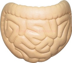 STRESS INTESTINE BALL
