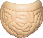 STRESS INTESTINE BALL