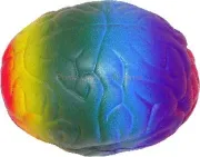 COLORED BRAIN STRESS BALL