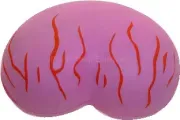 MAN TESTICLE