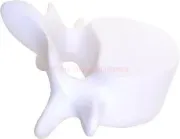 antistress back bone
