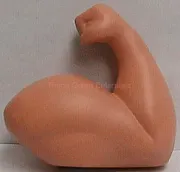 stress-reliefer muscle