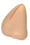 stress nose memo holder