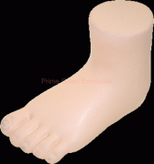 stress foot model