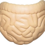 STRESS INTESTINE BALL