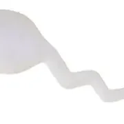 ANTI STRESS SPERM