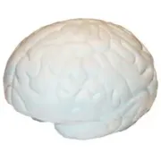 ANTI STRESS BRAIN GIFT