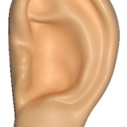 ear shaped stress ball