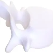 antistress back bone