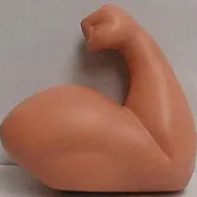stress-reliefer muscle