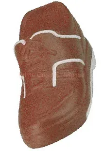 tennis shoe